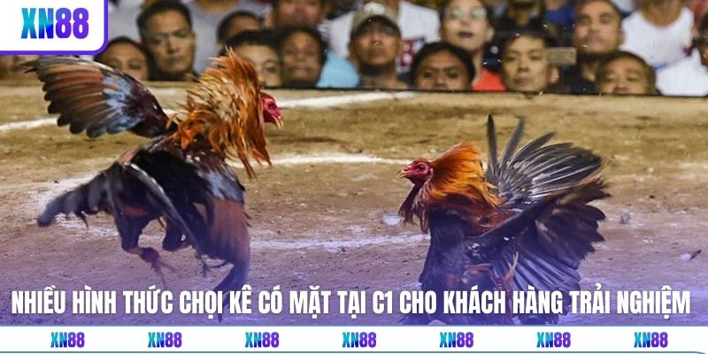 Nhiều hình thức chọi kê có mặt tại C1 cho khách hàng trải nghiệm