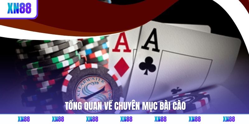 Tổng quan về chuyên mục bài cào